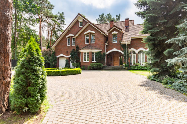Best Driveway Paving Contractor  in Eden, TX